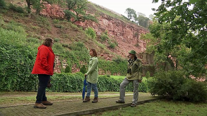 Unterwegs in Th&uuml;ringen: Im Geopark Kyffh&auml;user (Foto: MDR)