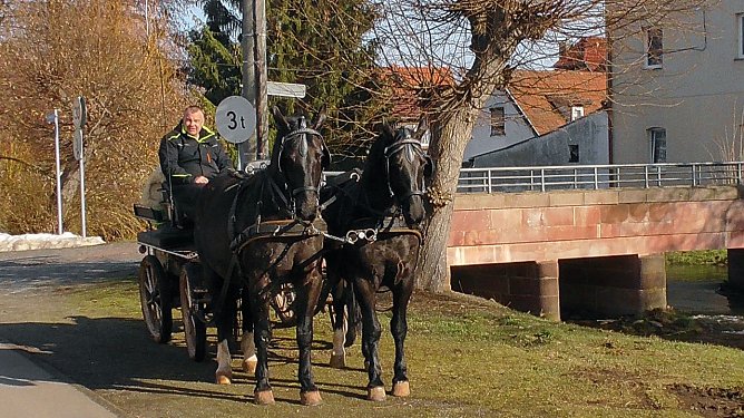Sven Koch mit Gespann  (Foto: U. Reinboth )