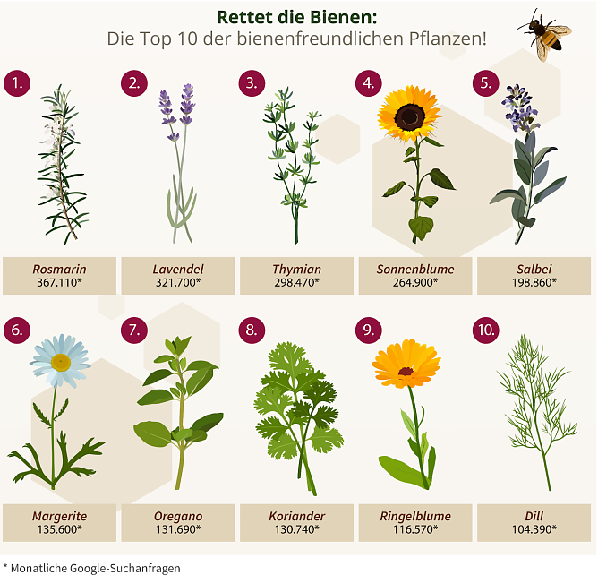 Die beliebtesten Pflanzen der Bienen (Foto: Heimwerker.de)