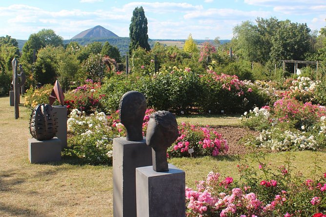 Rose trifft Kunst  (Foto: Europa-Rosarium )