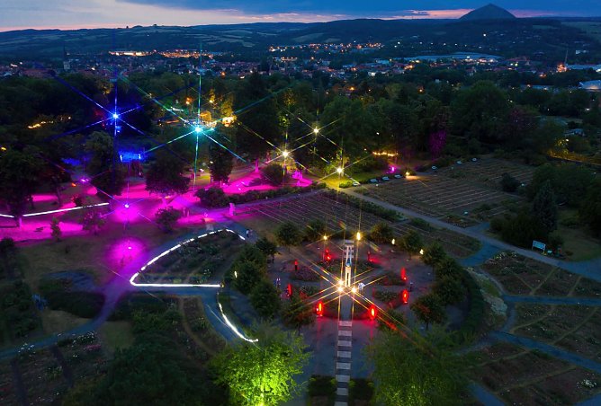 Rose trifft Kunst (Foto: Europa-Rosarium Sangerhausen ) Rose trifft Kunst (Foto: Europa-Rosarium Sangerhausen )