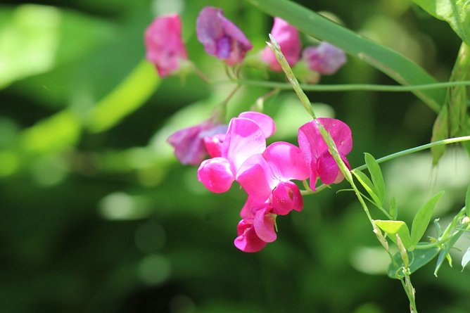 Außenstandorte der BUGA 2021 (Foto: Eva Maria Wiegand) Außenstandorte der BUGA 2021 (Foto: Eva Maria Wiegand)
