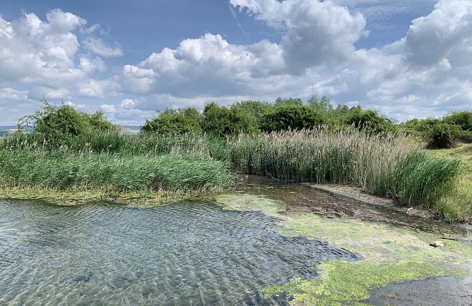 Am Helmestausee bei Kelbra (Foto: oas) Am Helmestausee bei Kelbra (Foto: oas)