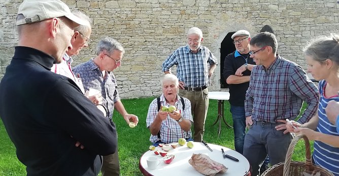 Oma wei&szlig; noch, wie die alten Sorten hei&szlig;en. Mehr dazu am n&auml;chsten Sonntag ins Bendeleben (Foto: K.Stiehler)