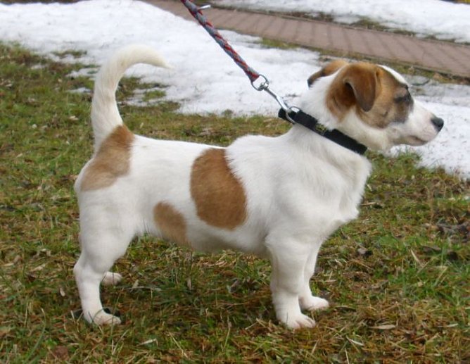 Schorsch (Foto: C. Knust)