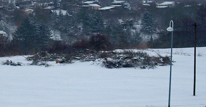 Winterwetter 3 (Foto: Karl-Heinz Herrmann) Winterwetter 3 (Foto: Karl-Heinz Herrmann)