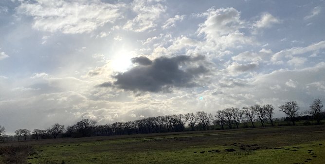 Das Januarwetter in der Statistik (Foto: oas) Das Januarwetter in der Statistik (Foto: oas)