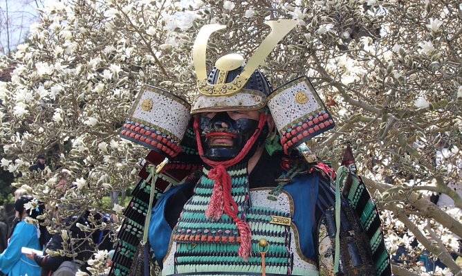 Tradition Show und Fest: Das Kirchbl&uuml;tenfest in Bad Langensalza (Foto: Eva Maria Wiegand)