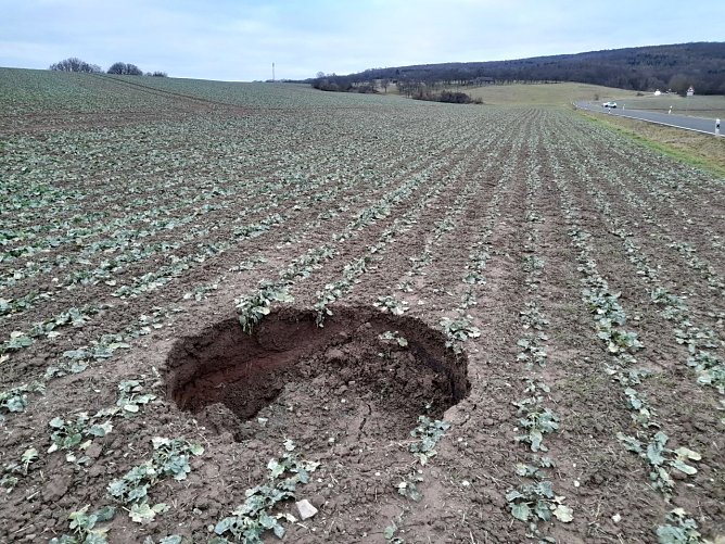 Erdfall nahe der Stra&szlig;e nach Hayn &ouml;stlich Breitungen (Foto: Armin Hoch)
