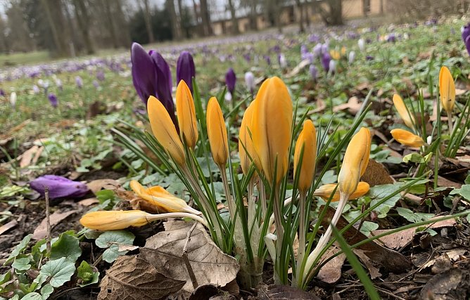 Symbolbild Wetter (Foto: emw)