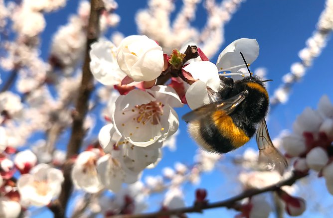 Wetterbild (Foto: S. Hartung) Wetterbild (Foto: S. Hartung)