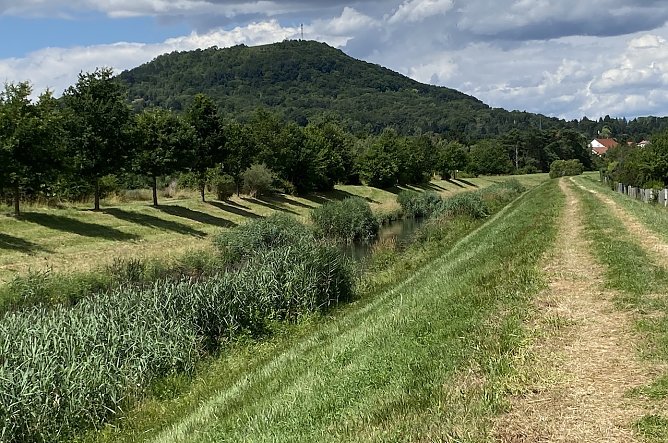 Blick vom Wipperdamm zum Frauenberg. (Foto: Wolfgang Lehmann) Blick vom Wipperdamm zum Frauenberg. (Foto: Wolfgang Lehmann)
