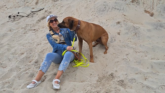 Urlaub in Dänemark (Foto: M. Höxtermann) Urlaub in Dänemark (Foto: M. Höxtermann)