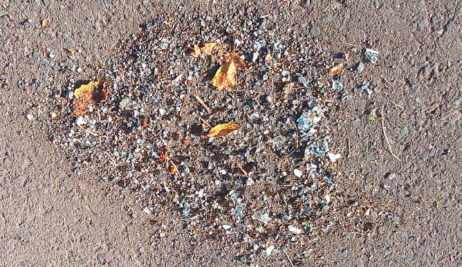 Scherben vorm Turm (Foto: U.Reinboth) Scherben vorm Turm (Foto: U.Reinboth)