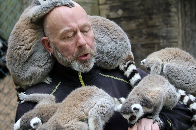 Affenvater im Affentheater: Silvio Dietzel und seine hungrigen Freunde (Foto: Eva Maria Wiegand)