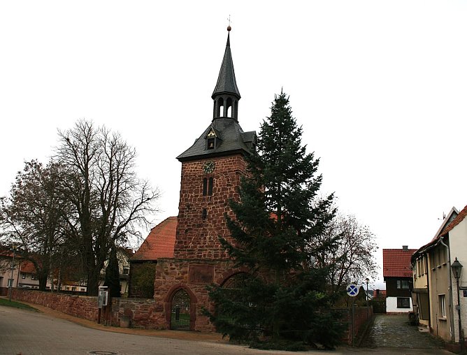 Der Kelbraer Weihnachtsbaum steht (Foto: Ulrich Reinboth)