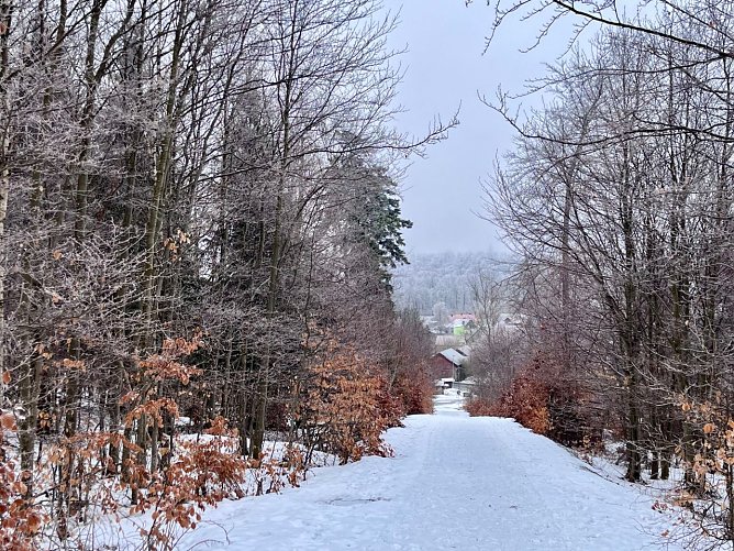Symbolbild Winterwetter (Foto: ssc) Symbolbild Winterwetter (Foto: ssc)