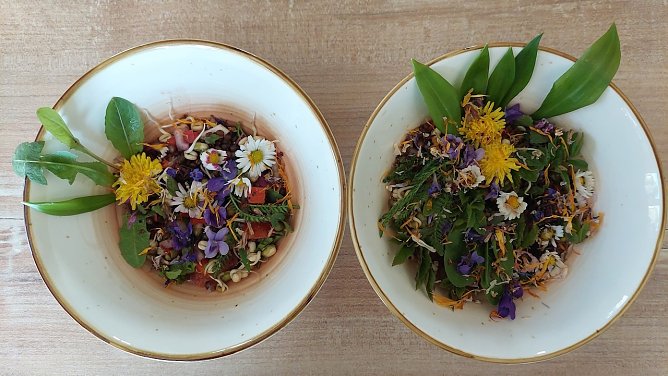 Frühlingskräuter (Foto: Sabine Schröder) Frühlingskräuter (Foto: Sabine Schröder)