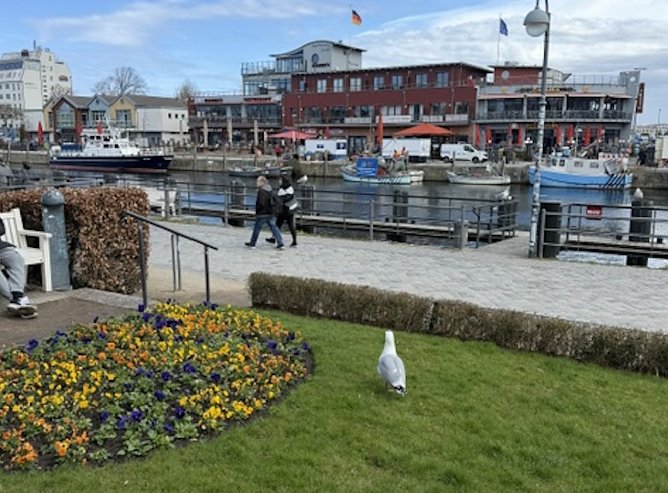 Ostermontag in Warnemünde (Foto: Roy Suschka) Ostermontag in Warnemünde (Foto: Roy Suschka)