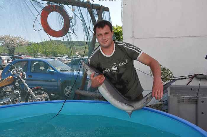 Fischfest in Auleben