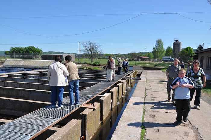Fischfest in Auleben