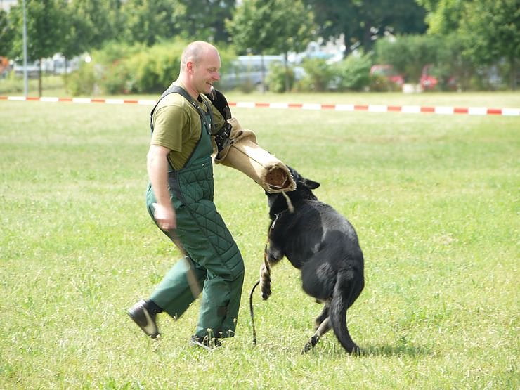 Tag der offenen T&uuml;r bei der Polizeidirektion Nordhausen