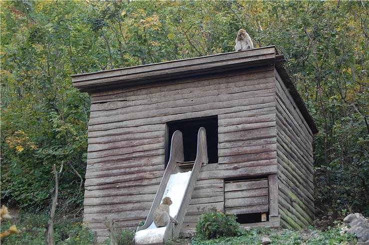 Affenwald Erlebnispark Strau&szlig;berg