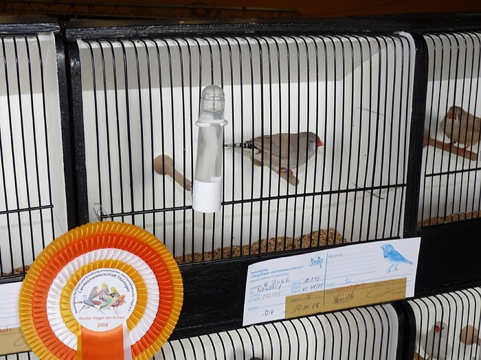 Ziergefl&uuml;gelausstellung