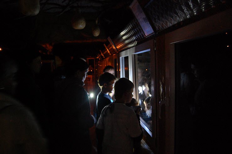 Nanderwanderung im  Nordh&auml;user Zoo nnz-City Scout on Tour