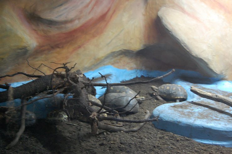 Nanderwanderung im  Nordh&auml;user Zoo nnz-City Scout on Tour