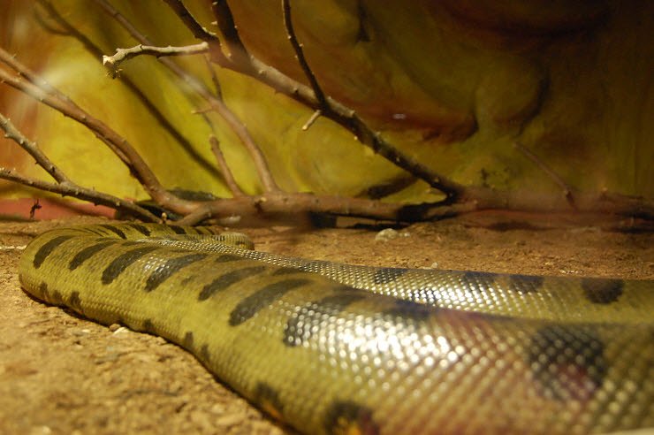 Nanderwanderung im  Nordh&auml;user Zoo nnz-City Scout on Tour