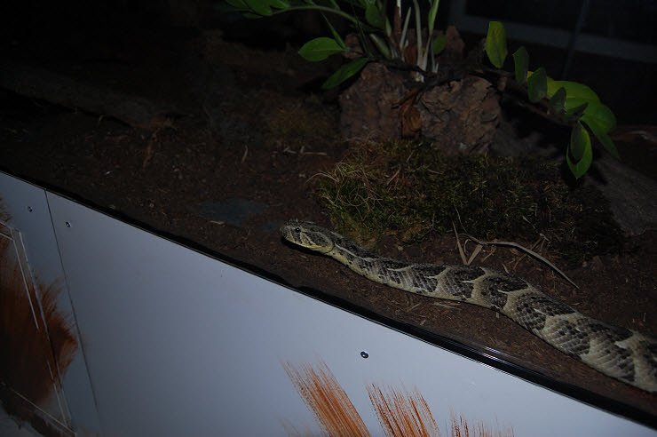 Nanderwanderung im  Nordh&auml;user Zoo nnz-City Scout on Tour