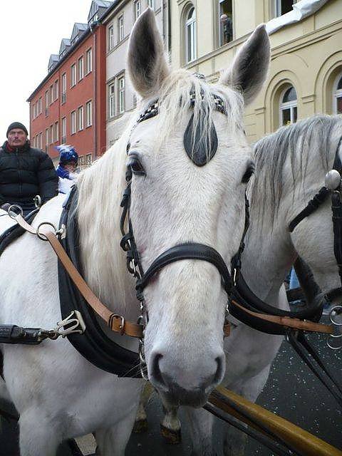 Rosenmontagsumzug2009