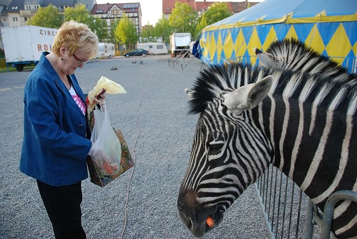 Circus Rolina gastiert in Nordhausen 