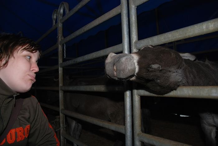 Circus Rolina gastiert in Nordhausen 