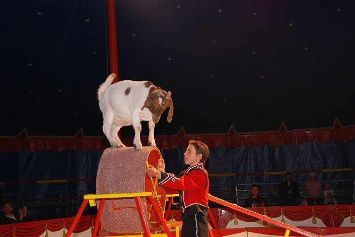 Circus Rolina gastiert in Nordhausen 