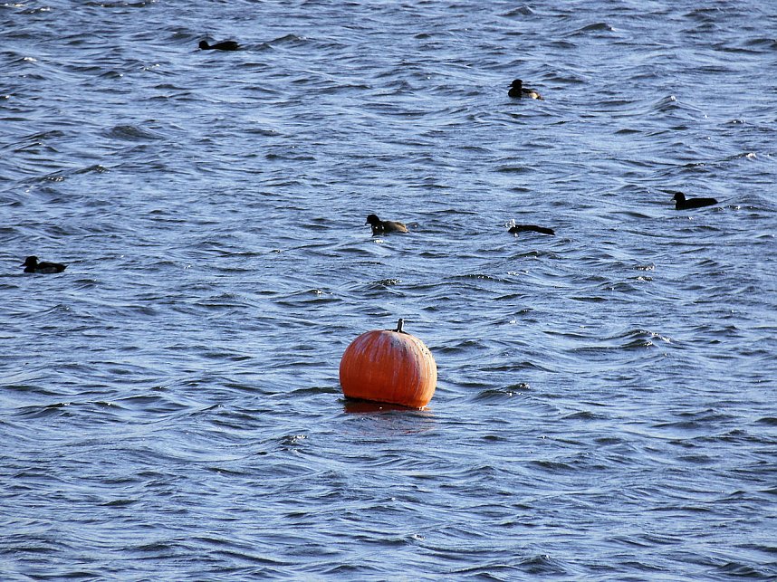 Die Flugschau ist er&ouml;ffnet