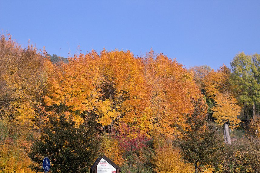 Herbstfarben am Panoramaweg bei Blankenburg