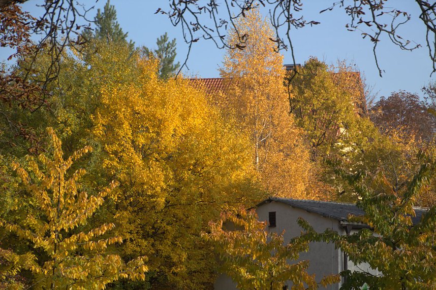 Herbstfarben am Panoramaweg bei Blankenburg