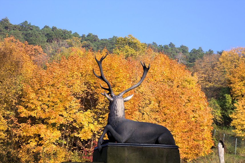 Herbstfarben am Panoramaweg bei Blankenburg