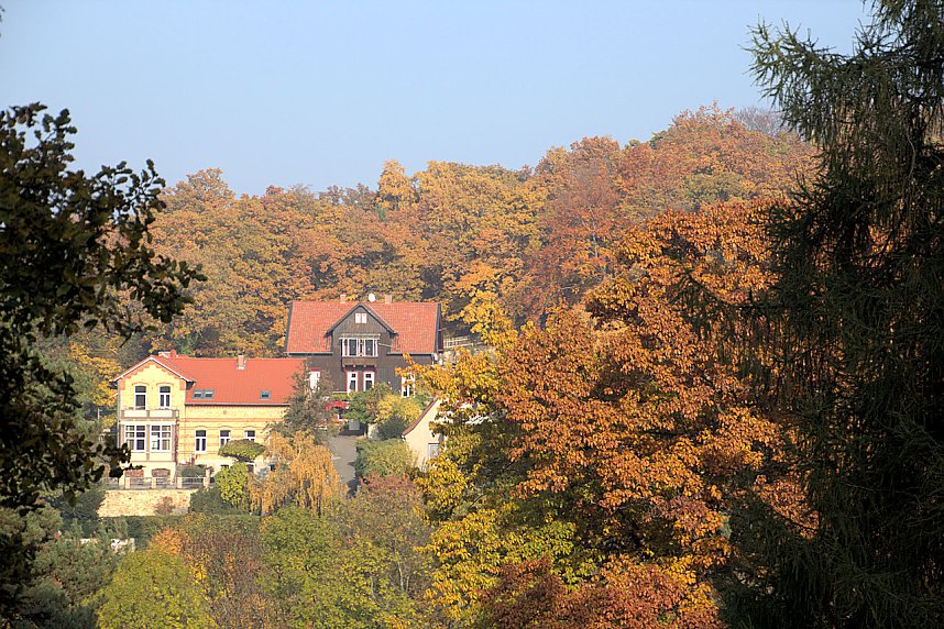 Herbstfarben am Panoramaweg bei Blankenburg