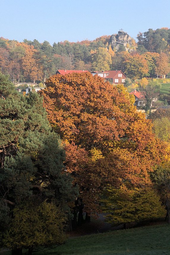 Herbstfarben am Panoramaweg bei Blankenburg