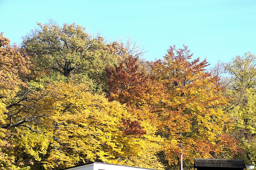 Herbstfarben am Panoramaweg bei Blankenburg