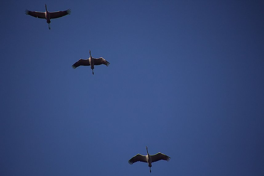 Herbstfarben am Panoramaweg bei Blankenburg