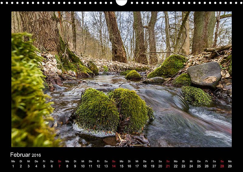 Am Karstwanderweg im S&uuml;dharz