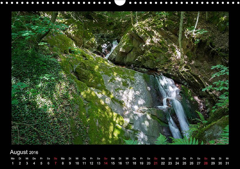 Am Karstwanderweg im S&uuml;dharz