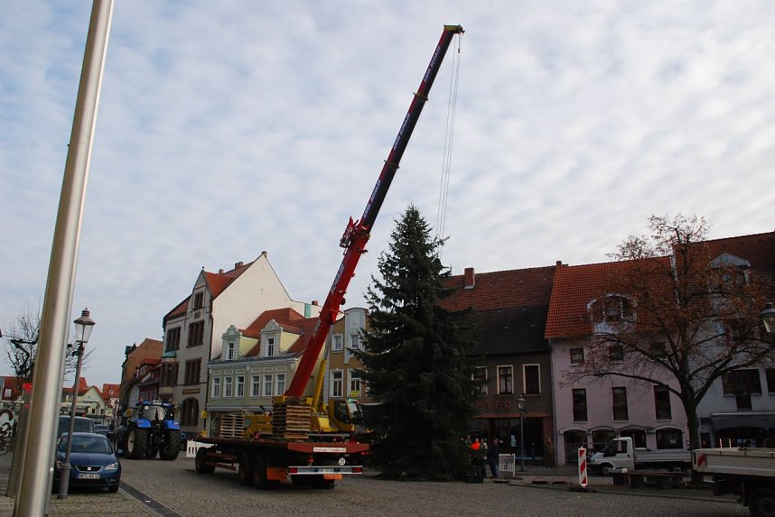 Dank breiter Gurte konnte der Baum vom Kran ohne Besch&auml;digungen aufgerichtet werden. Noch muss er aber mehrmals auf und nieder gehoben werden, um ihn optimal in die F&uuml;hrung gleiten lassen zu k&ouml;nnen.