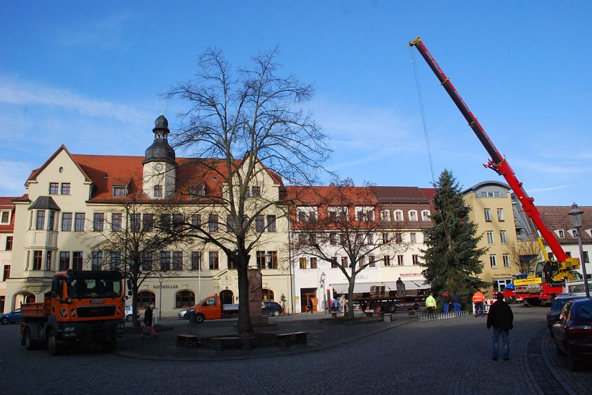 Es ist wieder gr&uuml;n geworden auf dem Hettstedter Markt. In K&uuml;rze wird es sogar bunt sein - wenn Lichterketten und Dekorationen am Baum sind.