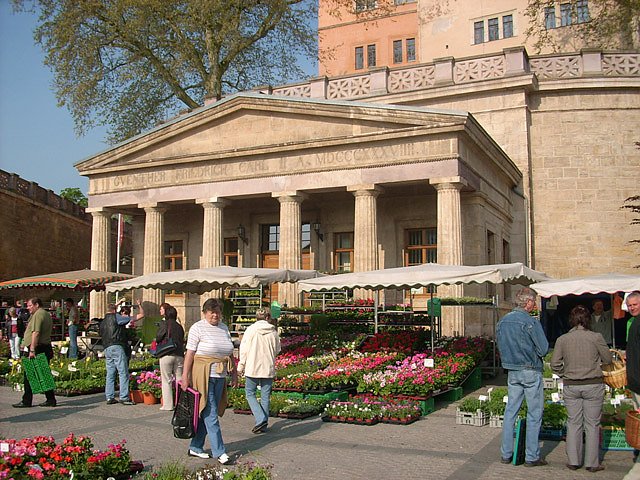 Pflanzenmarkt am Sonntag