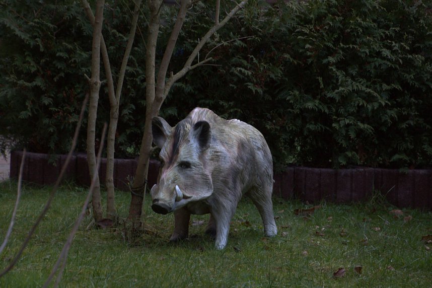 Weihnachtsmarkt in Stolberg